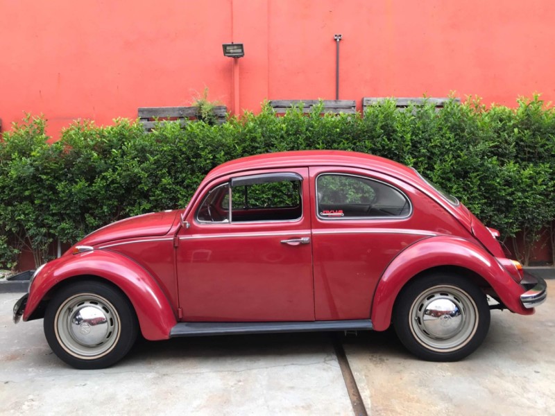 fusca1